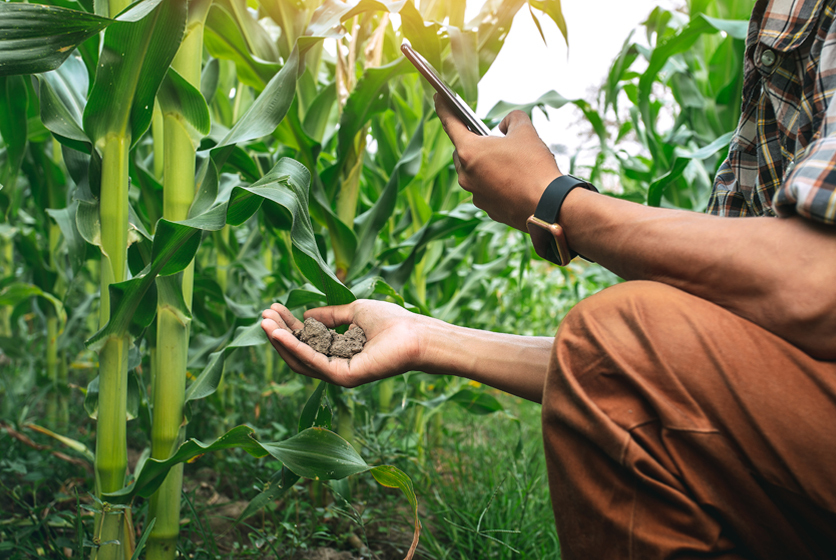 Farmer with soil in hand