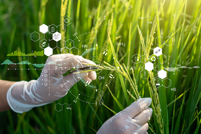 Gloved hands checking crops with chemical symbols around