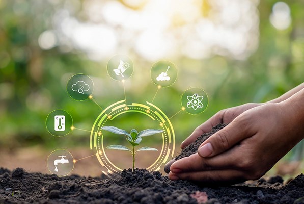 Handful of soil beside a sapling surrounded by agriculture symbols