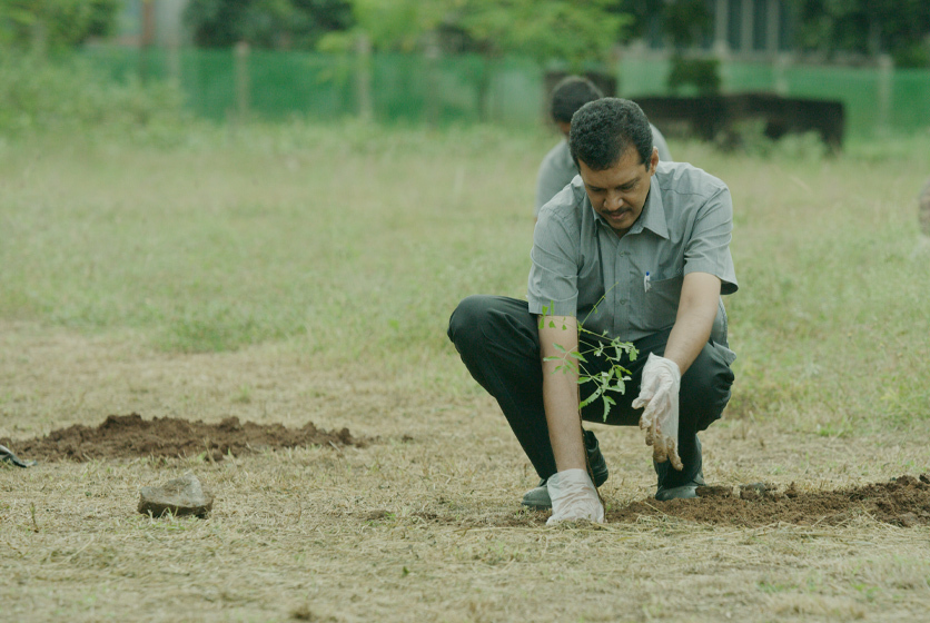 Taro Pumps employee planting a sapling