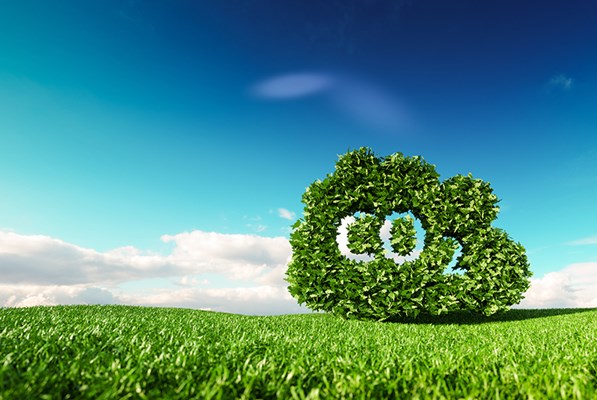 A shrub with carbon dioxide symbol