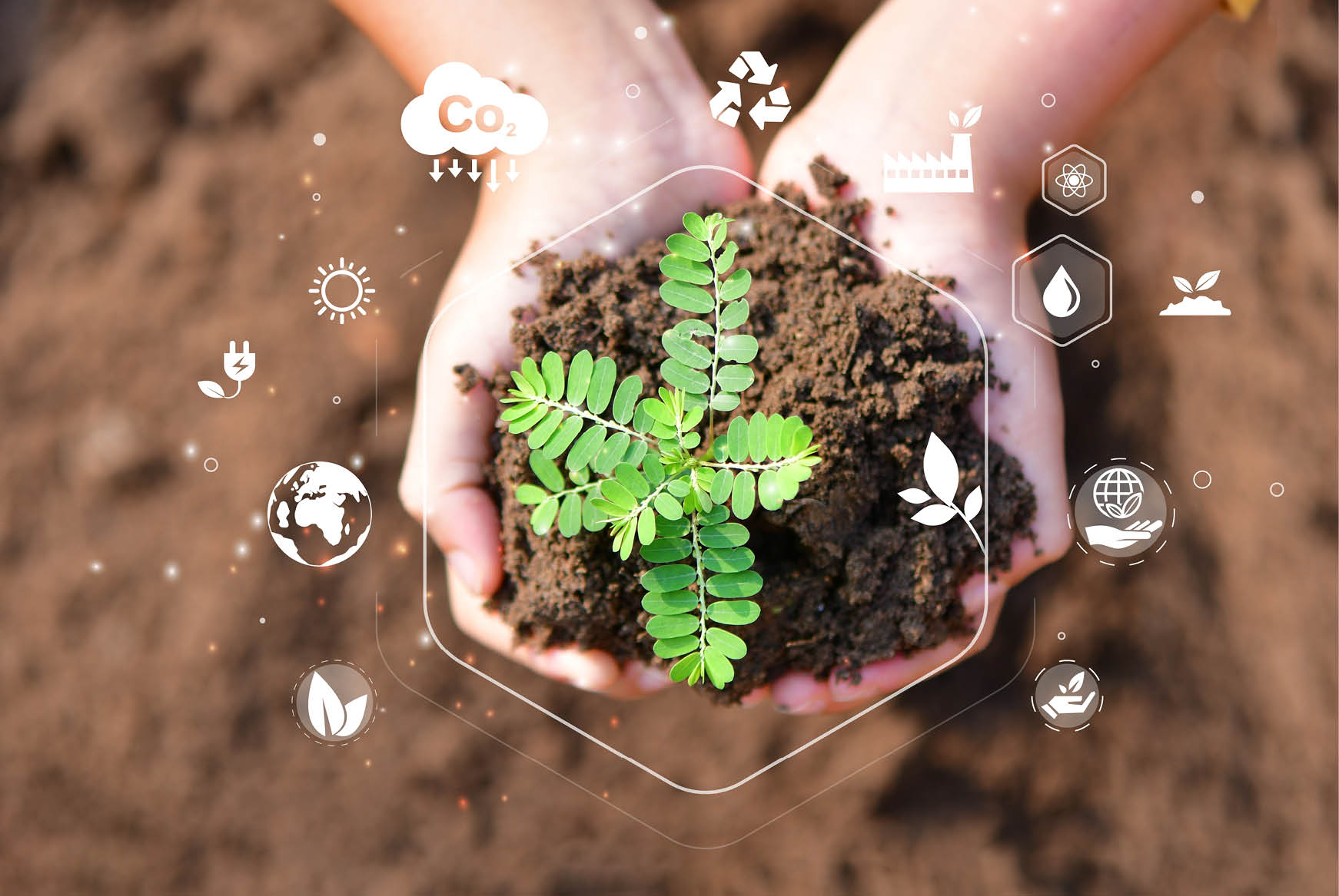 Hand holding a sapling surrounded by chemical symbols