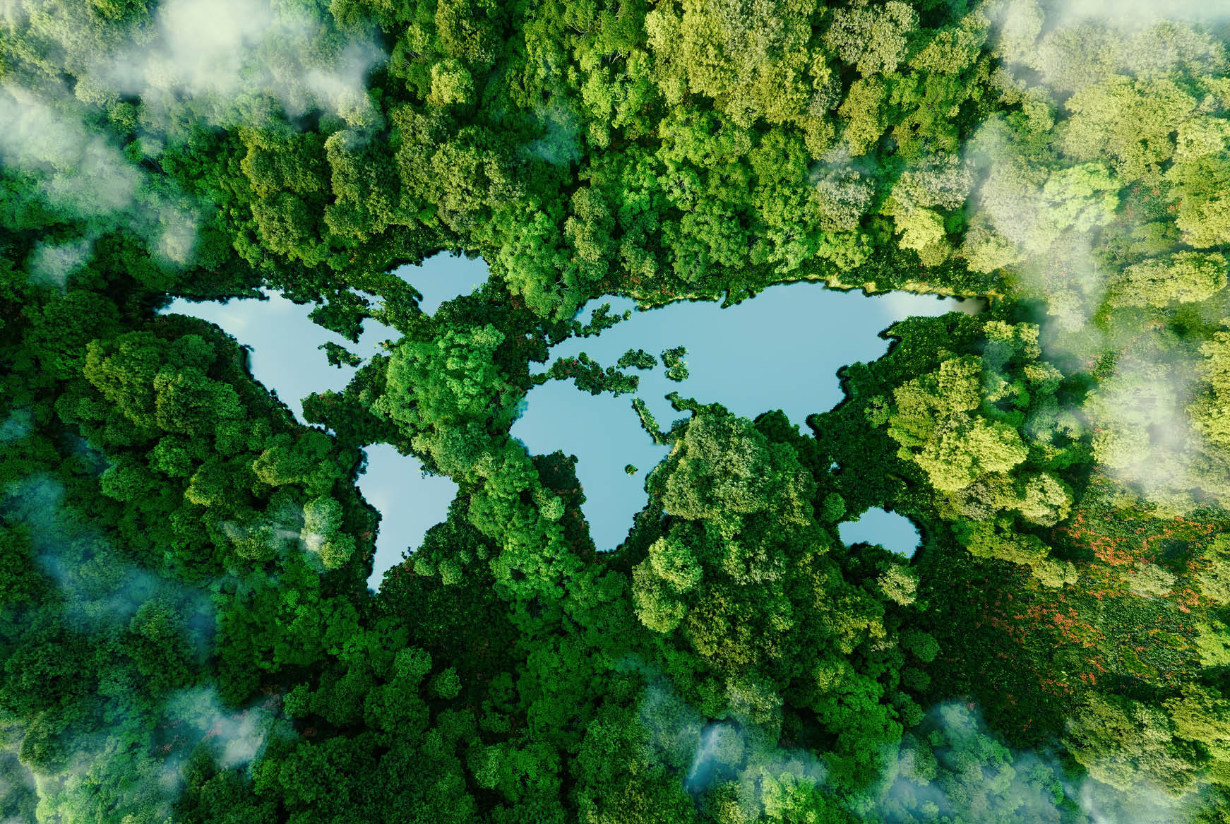 Earth map on a cloudy green forest background