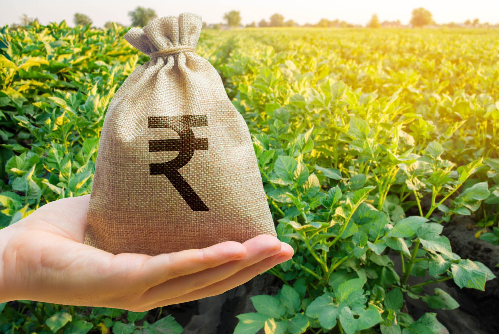 Hand holding a sack with rupee symbol in a green field