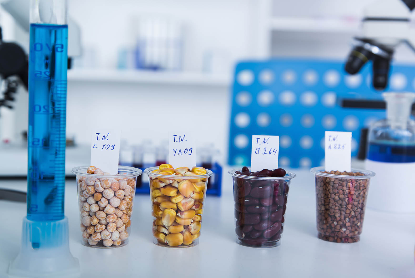 Plastic cups containing different types of seeds in a laboratory
