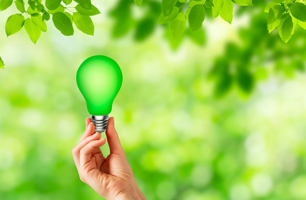 Hand holding a green bulb