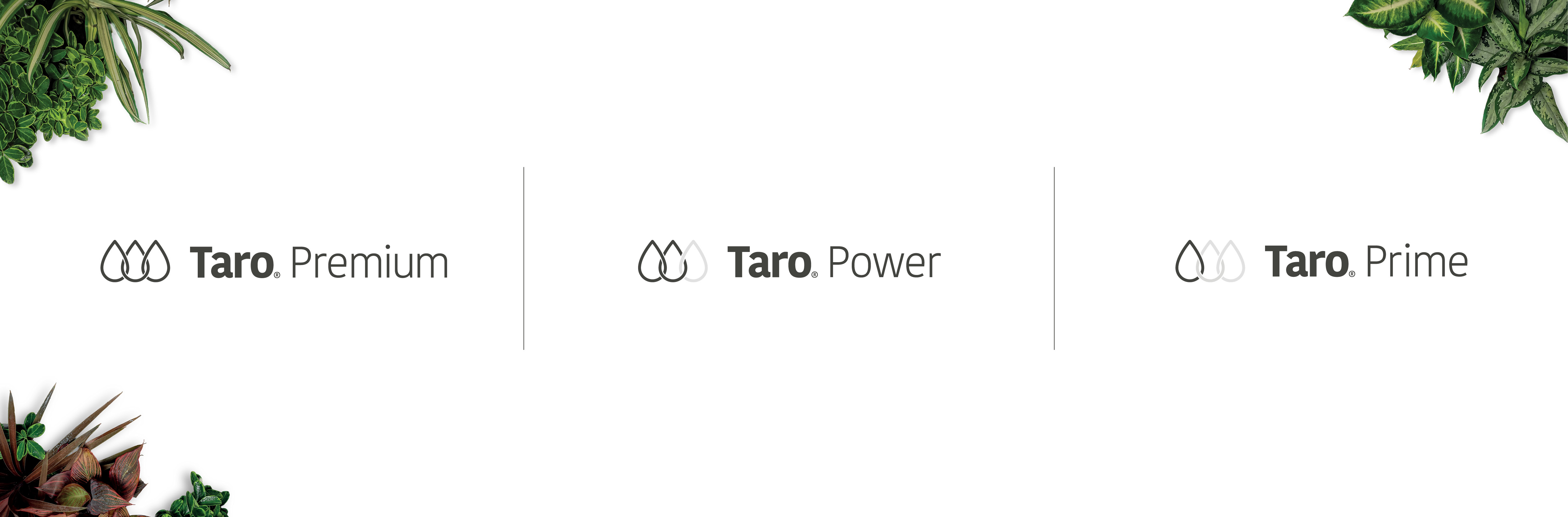Taro pumps product categories premium, power and prime