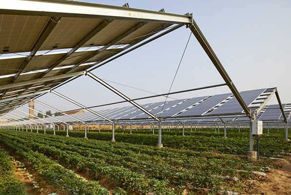 Solar panels in fields