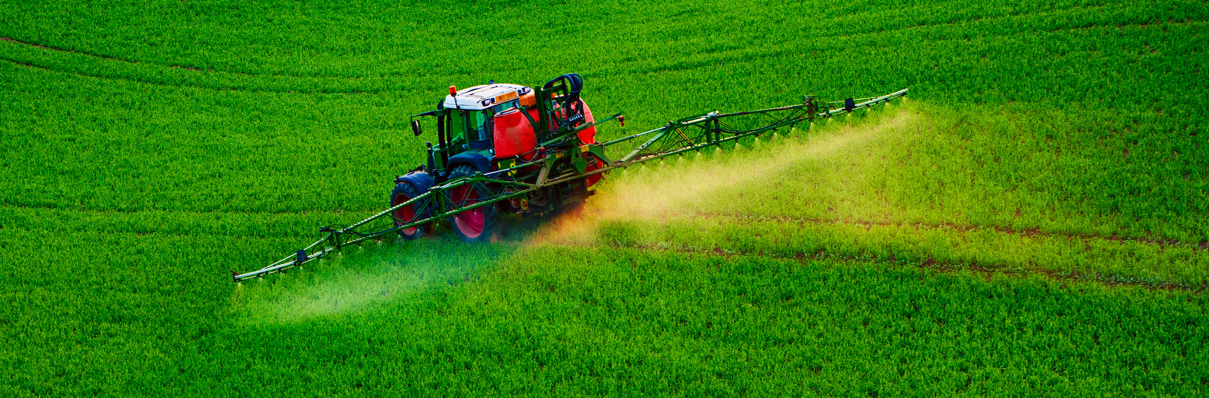 Tractor spraying insecticide over a green field