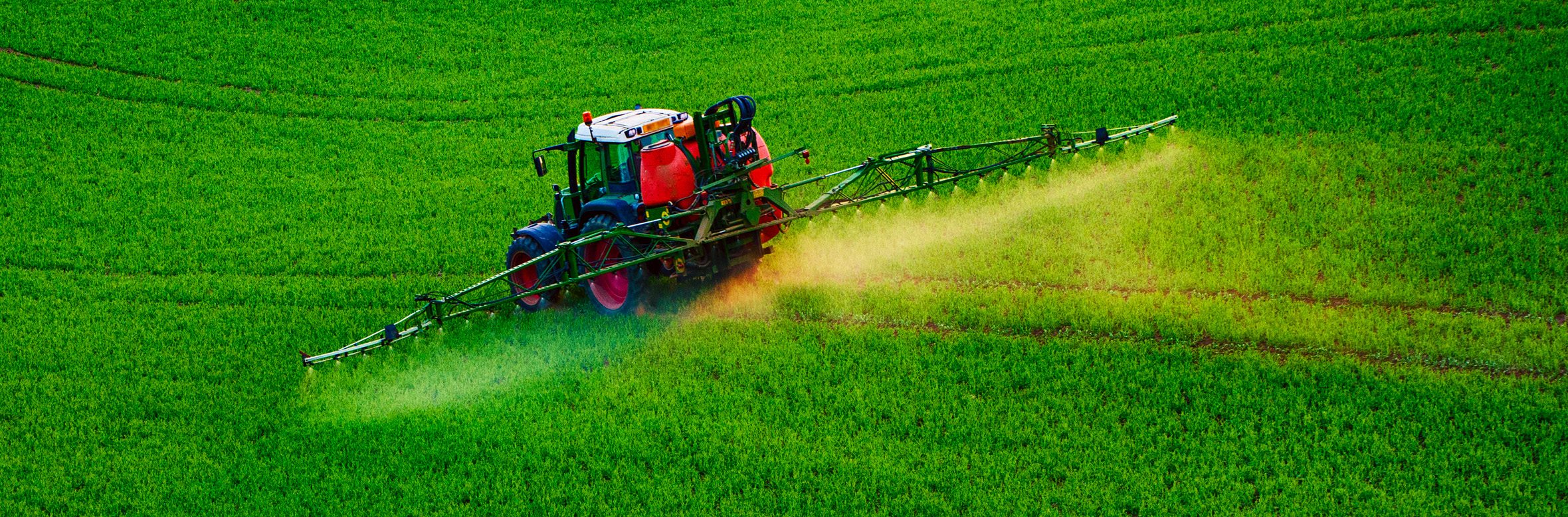 What Are The Methods Of Feed Evaluation What Are The Methods Of Feed Evaluation