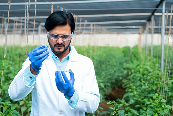 Scientist doing tests in a field