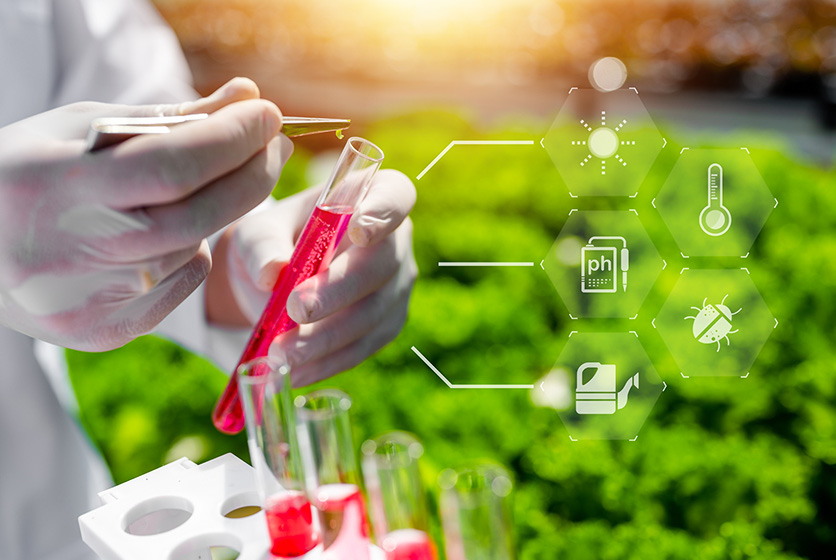 Scientist doing tests in a field