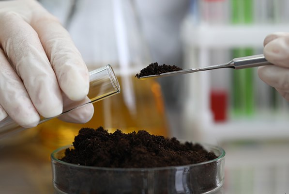 Lab technician putting soil in a testube