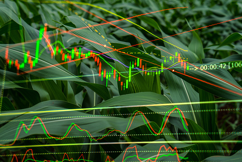 A graph overlay on a background of corn crops