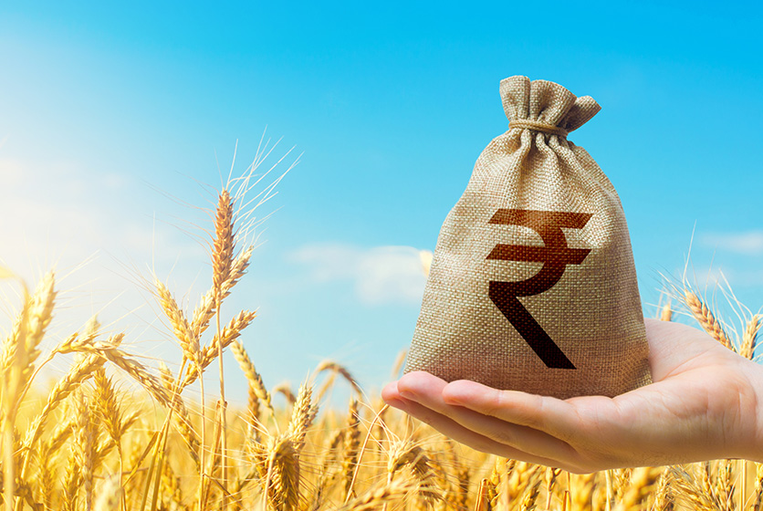 Hand holding a sack with rupee symbol in a wheat field