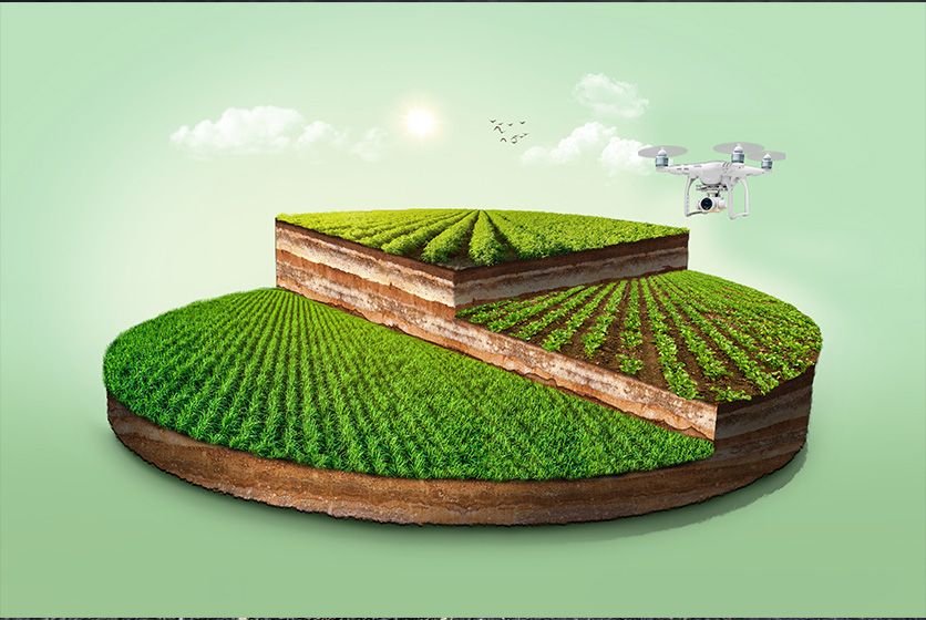 3D illustration of a green field in a pie chart with a drone hovering