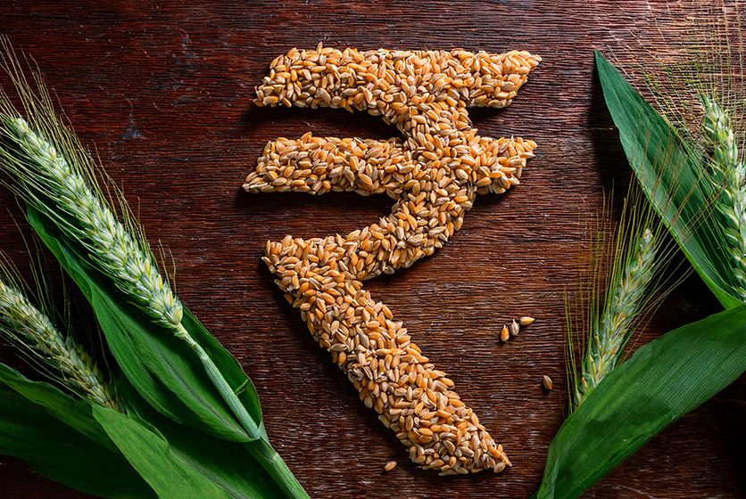 Indian Rupee symbol made of grains