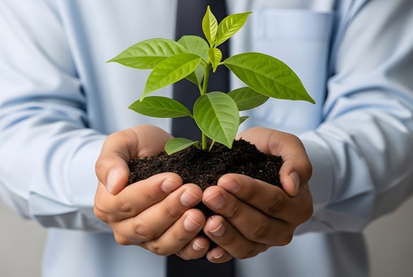 Man holding a plant in his hands concept for growth business success