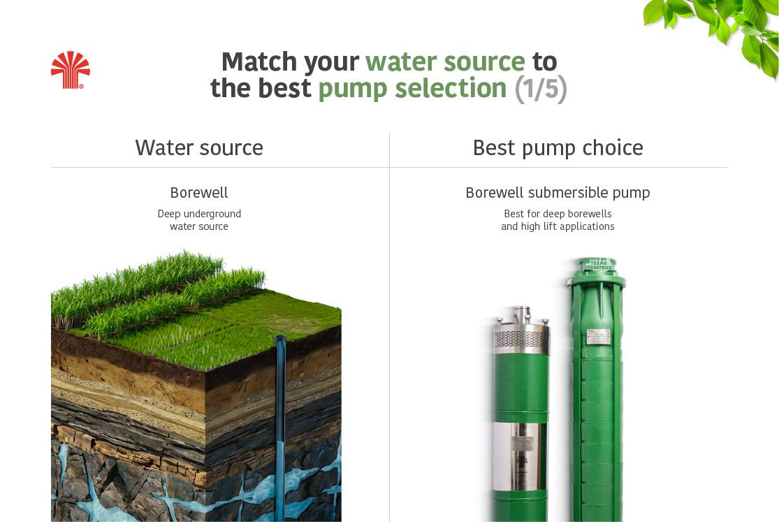 Images of a match between the water source and best suited Taro Pumps choice