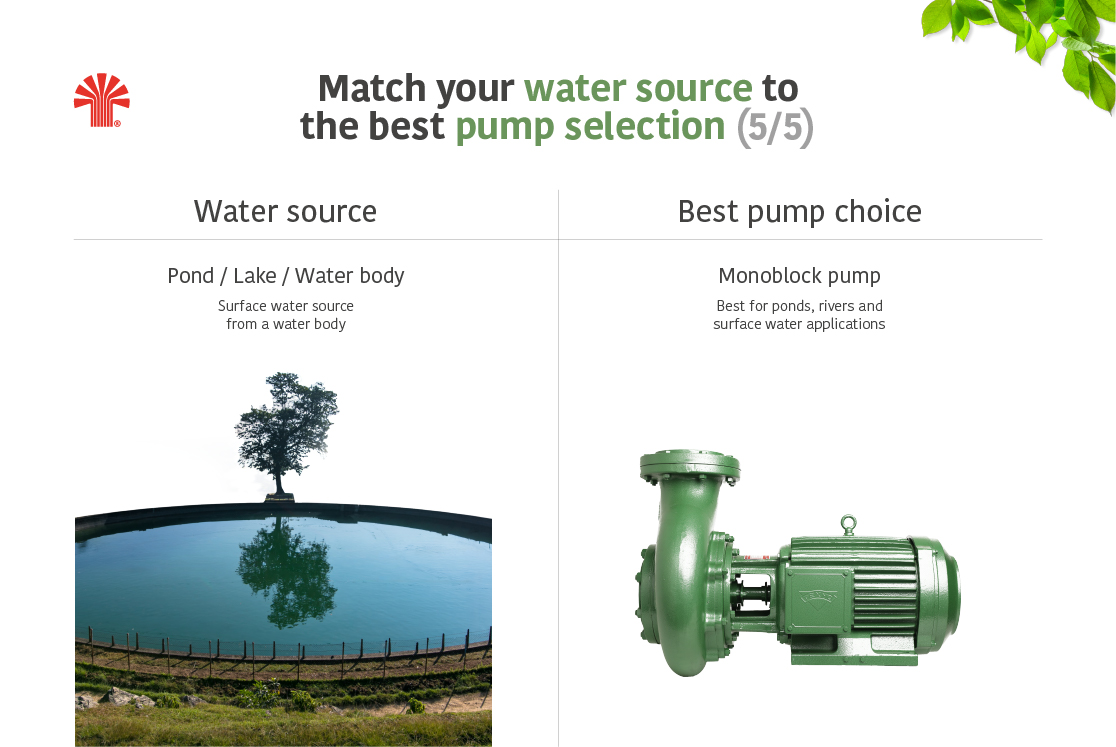 Images of a match between the water source and best suited Taro Pumps choice